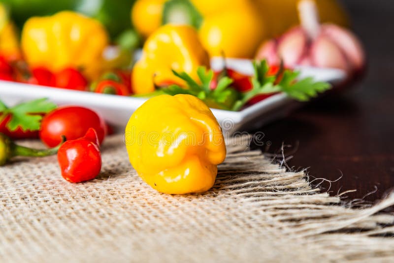 Mix of Peppers with Tomato, Garlic and Olive Oil Stock Image Image of paprika, vegetable