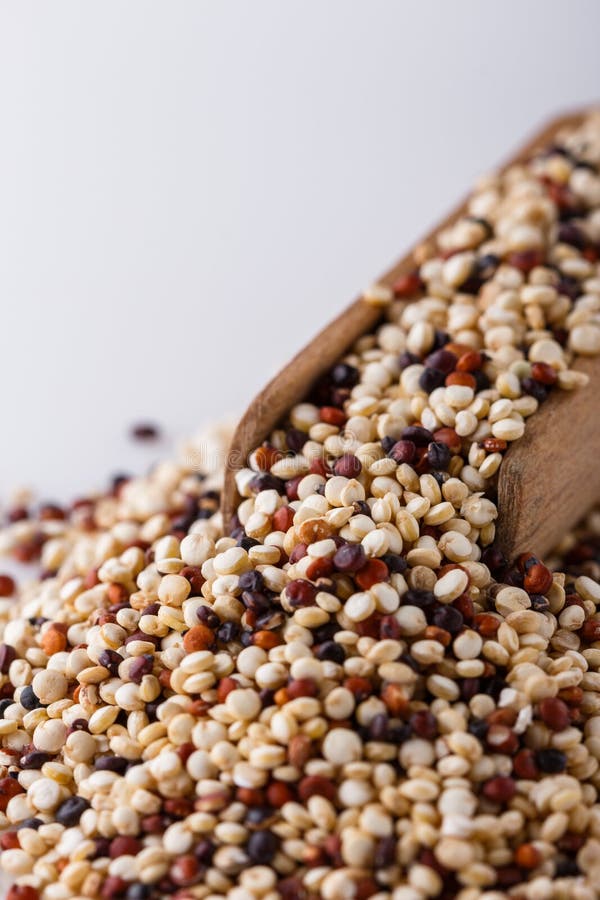 Mix of Quinoa Grains on White Acrylic Background Stock Photo Image of