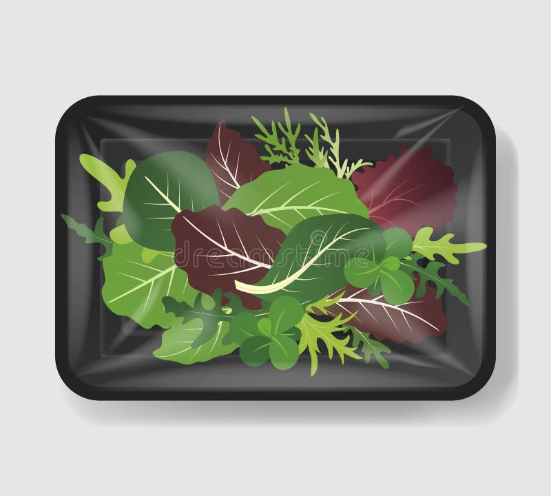 Download Mix Of Salad Leaves In Plastic Tray Container With Cellophane Cover. Mockup Template For Your ...