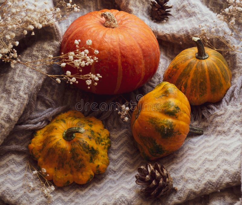 A mix of a variety of jelly chewy sweets in the form of bears royalty free stock images