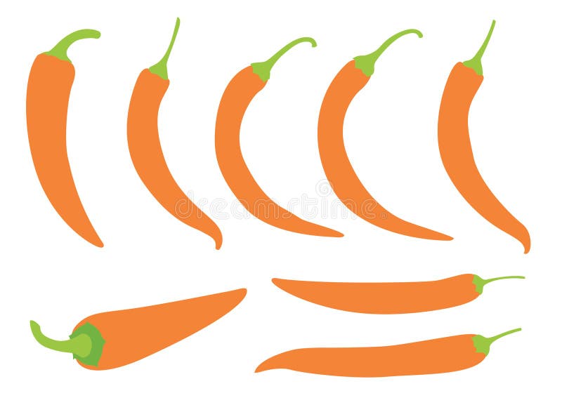 Chilli Pepper Icon Vector Orange Stock Vector Illustration of food