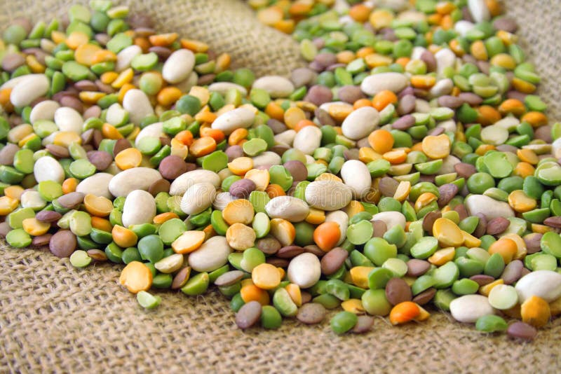 An assortment of beans for bean soup all on a burlap background. An assortment of beans for bean soup all on a burlap background.