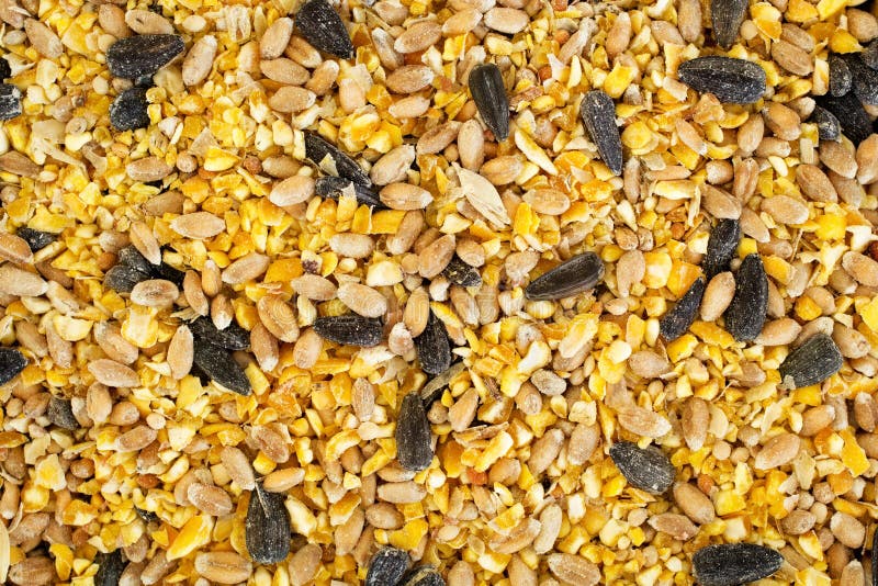 Mixed Bird Seed stock photo. Image of birdseed, bird 171048466