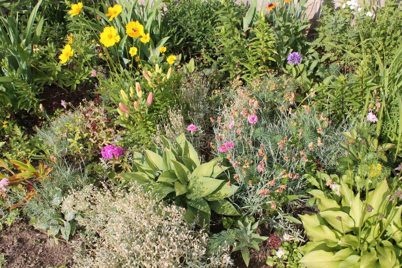 Mesa garden and plants