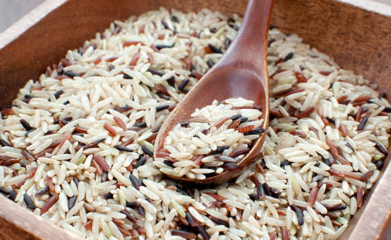 Mixed Brown Jasmine Red Rice Uncooked Stock Photo Image of fiber