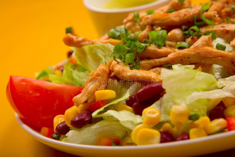 Mixed chicken salad stock image. Image of paprika, dish 4055537