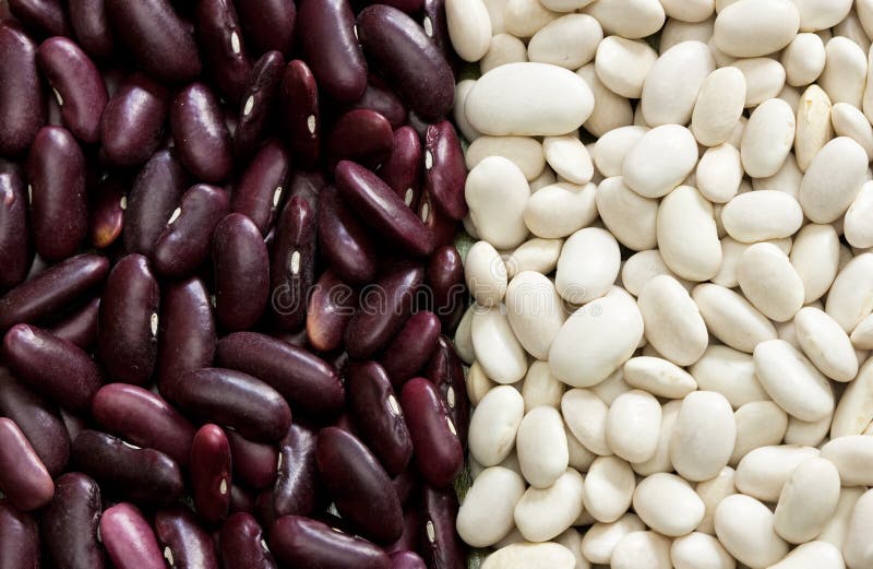 Mixed Dried Beans Picture. Image 14331697