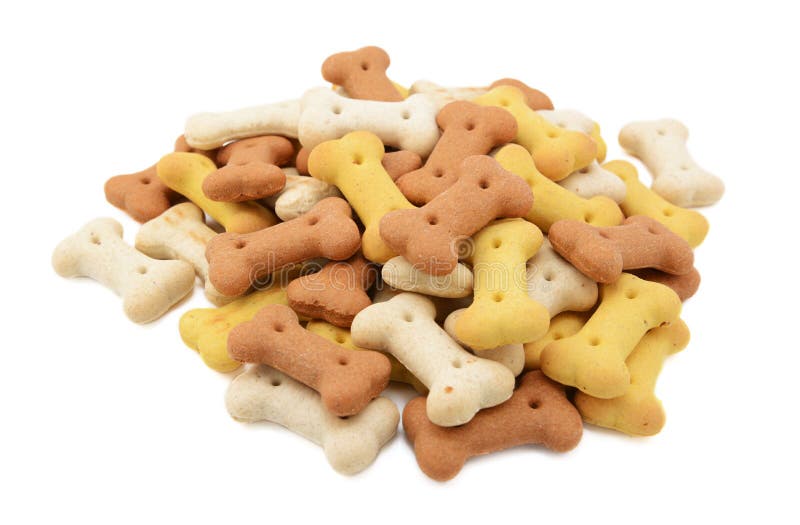 Dry Boneshaped Dog Biscuits in a Pet Food Bowl Stock Image Image of