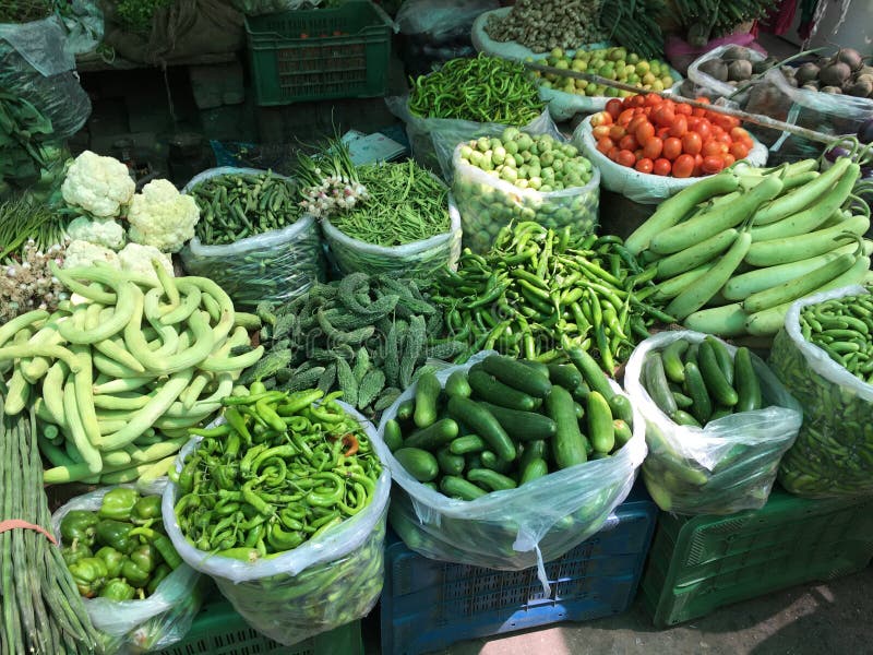 Organic Mixed Vegetables on the Vegetable Garden Bed Stock Photo