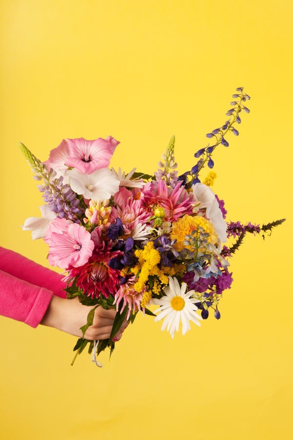 Mixed Garden Viola Pansy Flowers Stock Photo Image of purple, background 139385728