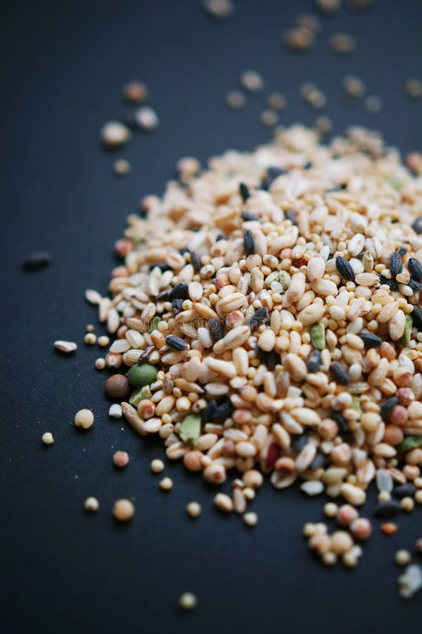 Mixed grains and beans stock photo. Image of overhead 29896518
