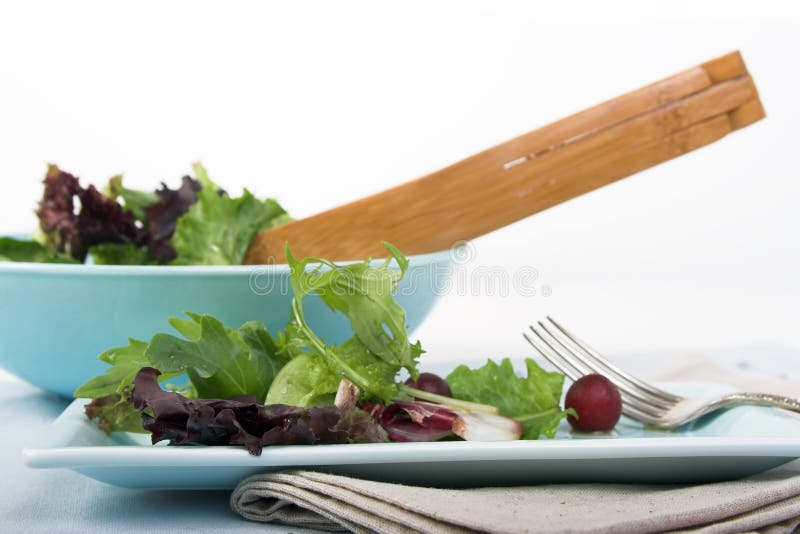 Mixed green salad