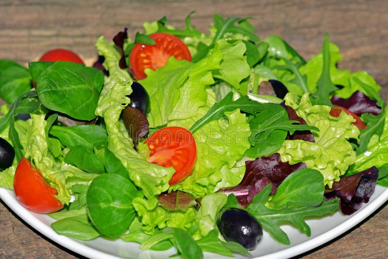 Mixed Green Salad with Tomatoes and Olives Stock Image Image of food