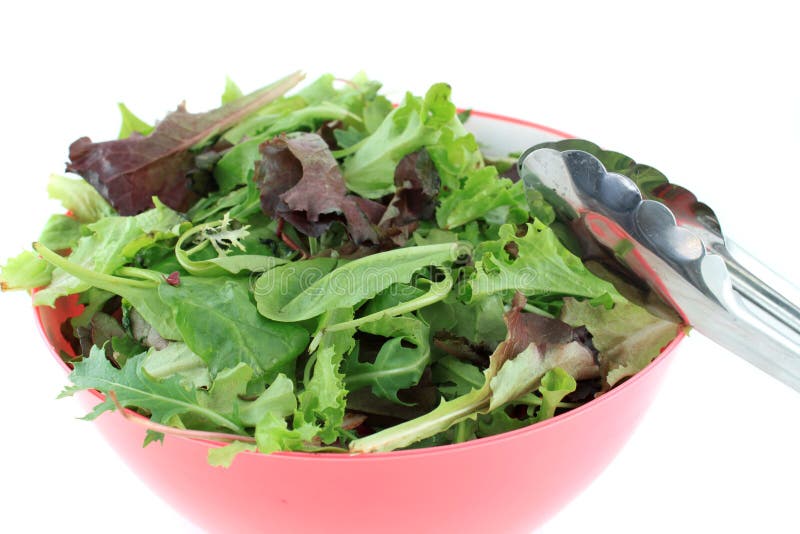 Mixed Greens Salad with Oil and Vinegar Stock Photo Image of cheese