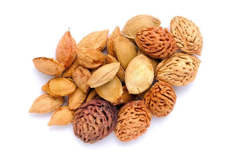 Mixed Kernels stock photo. Image of pits, food, kernel 33800378