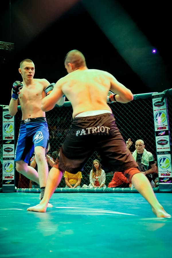 mixed martial arts competition        <h3 class=