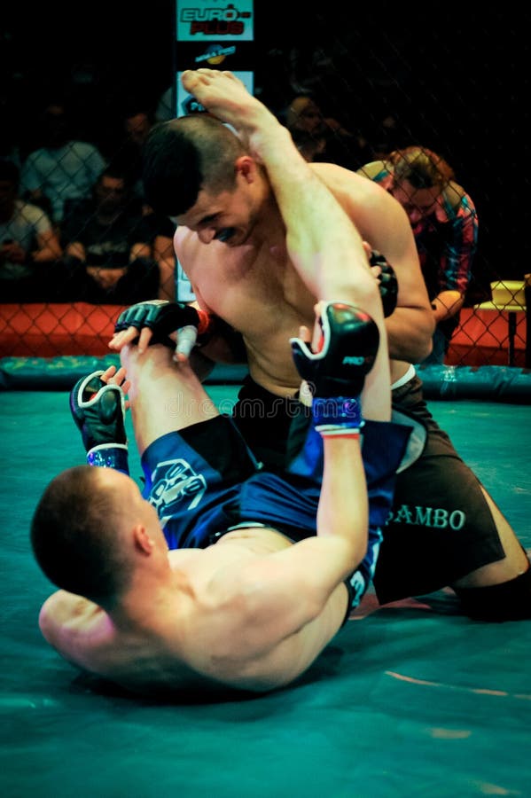 Mixed Martial Arts Competition Mma Dnipro City Ukraine June 75975851 