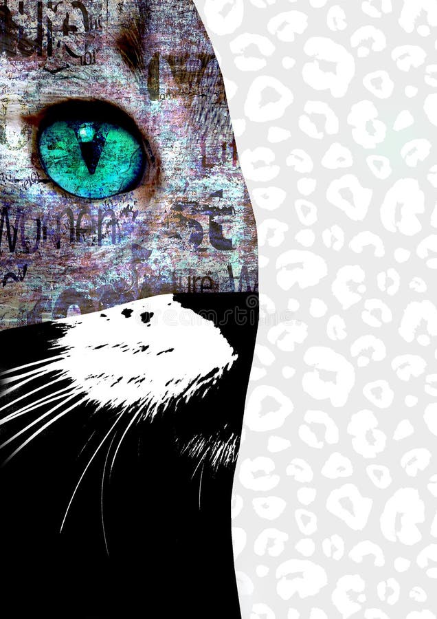 Mixed media art collage. Close up view of cat with green eyes