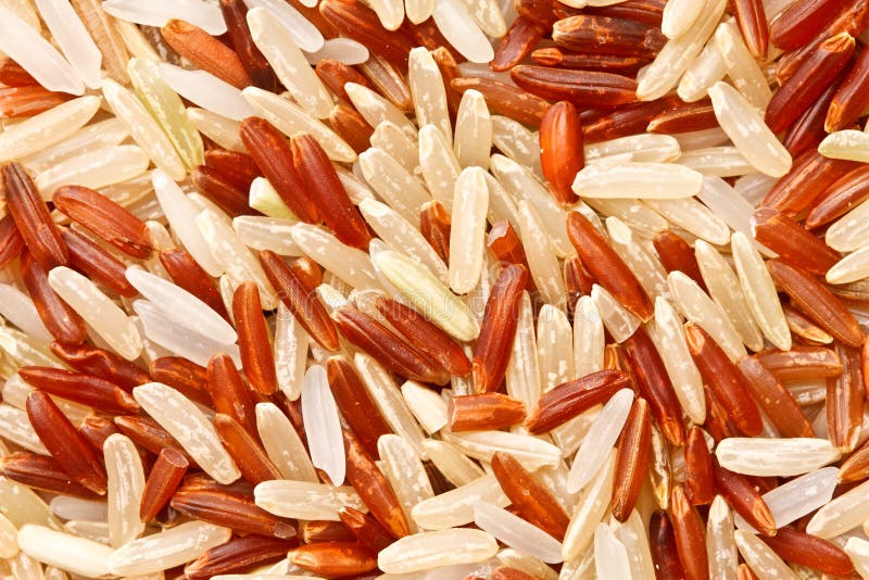 Health Food Mixed Grain Rice Stock Image Image of brown, diets 4689399
