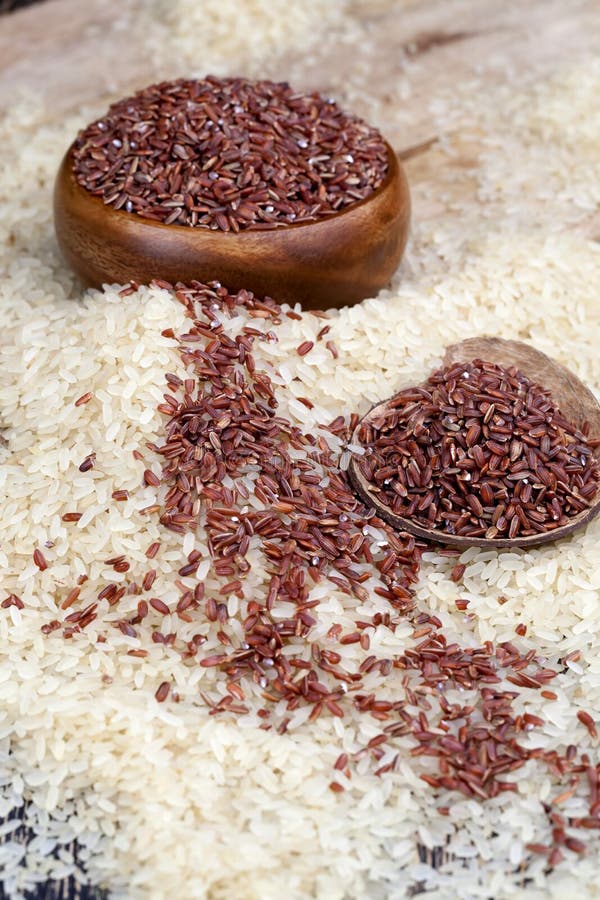 Mixed Rice of Several Types before Cooking Stock Photo Image of rice