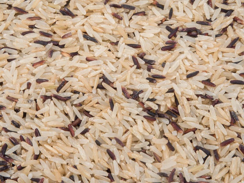 Mixed rice texture. stock photo. Image of health, black 88459388