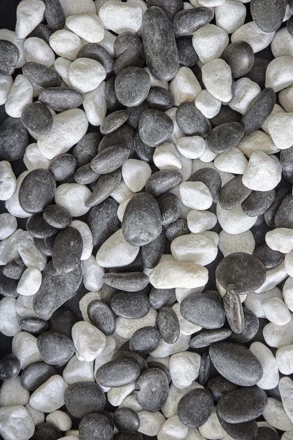 Mixed River Rock stock image. Image of pebble, rough 224032065