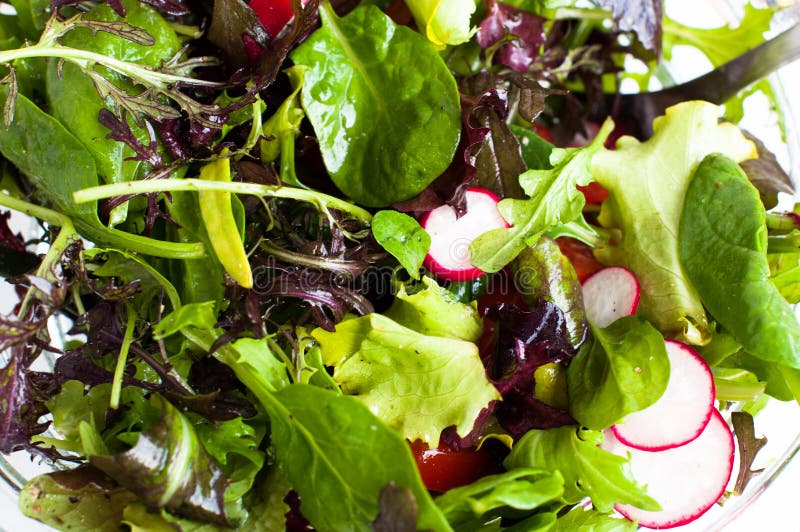 Mixed salad royalty free stock photos Mixed salad royalty free stock photos