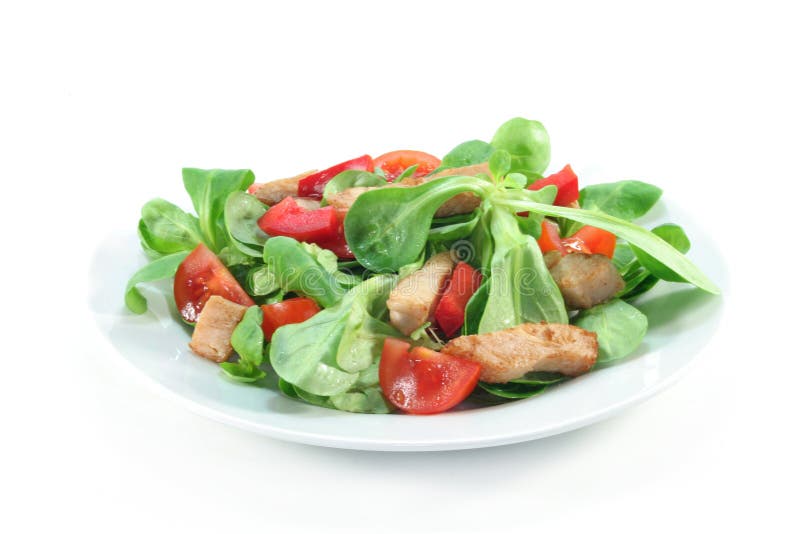 Mixed Salad with Chicken Strips Stock Image Image of healthy, peppers