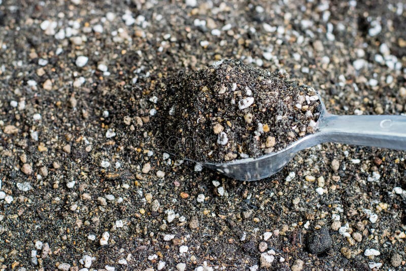 Mixed Soil for Growing Cactus Stock Photo Image of gardening, heap