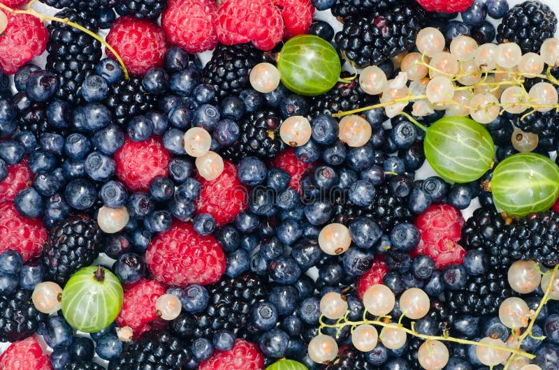 Mixed berries closeup stock photo. Image of fruits, food 35175146