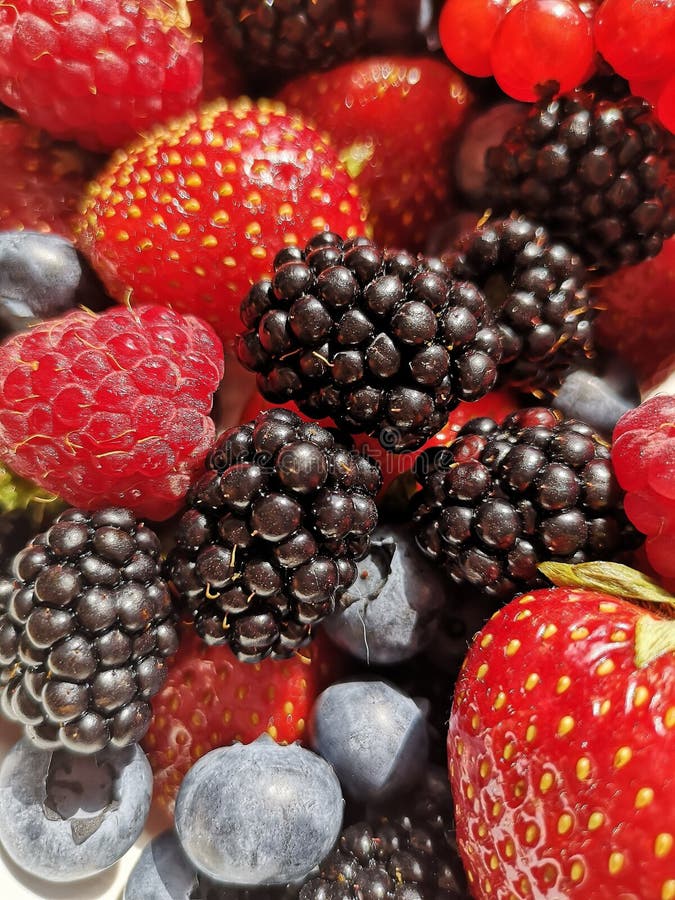 Mixed summer fruit. Closeup of forest fruits. Summer fruit stock photo Mixed summer fruit. Closeup of forest fruits. Summer fruit stock photo