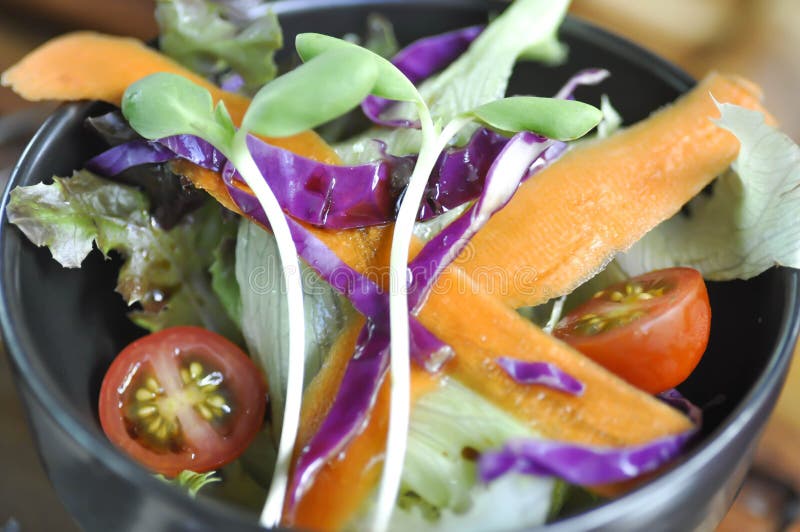 Mixed vegetable salad stock image. Image of food, salad 96901227