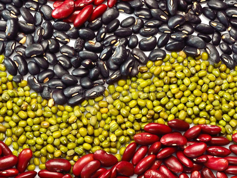 Mix Of Beans, Peas, Mung, Lentil And Kidney Beans Closeup. Organic