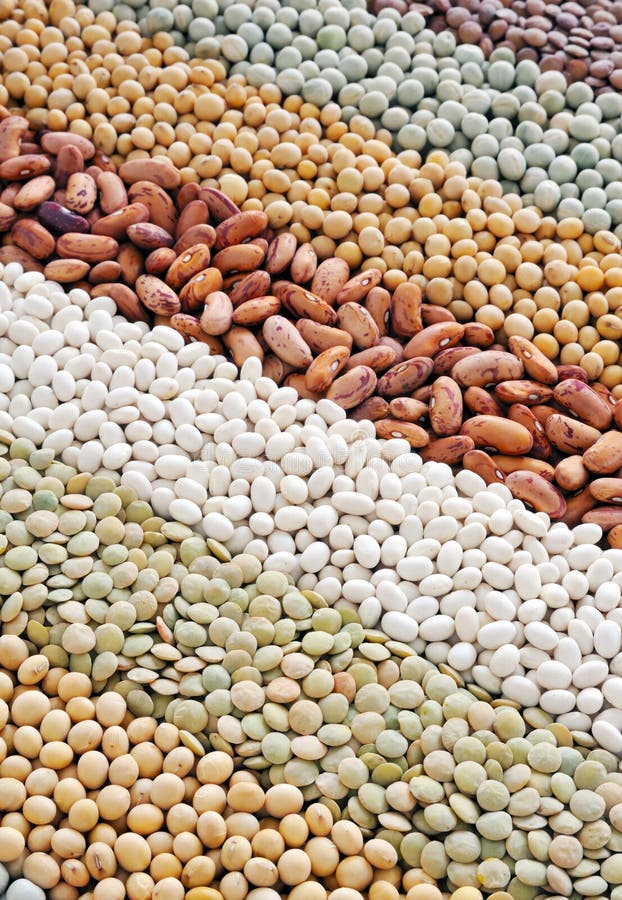 Mixture of Dried Lentils, Peas, Soybeans, Beans Stock Image Image of