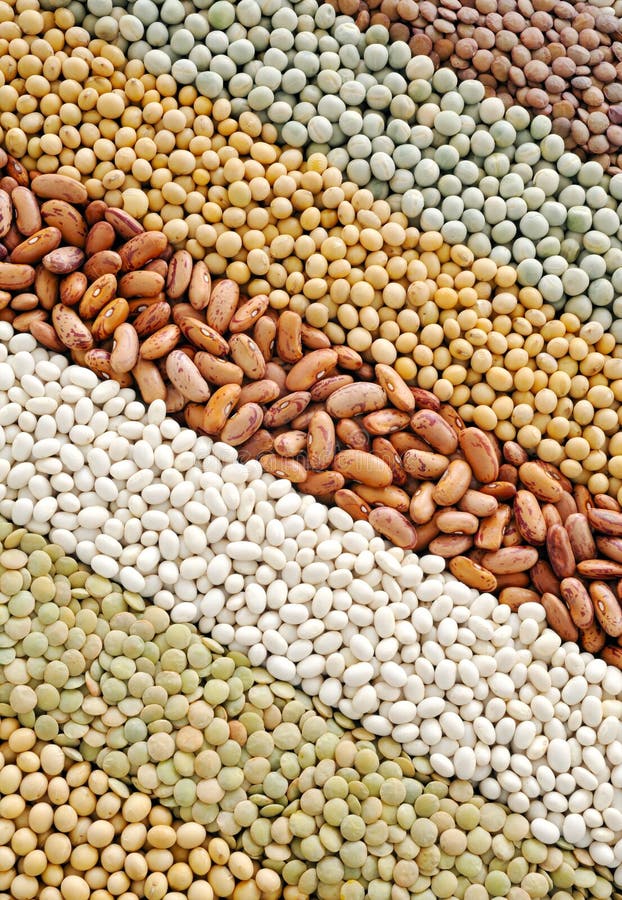 Mixture of Dried Lentils, Peas, Soybeans, Beans Stock Photo Image of