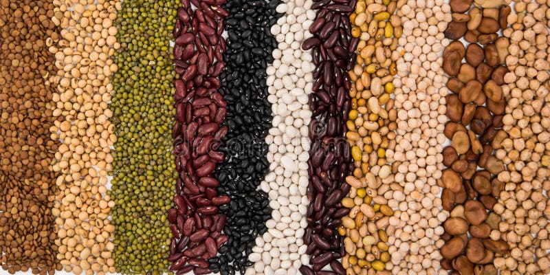 Mixture of dried lentils, peas, soybeans, beans