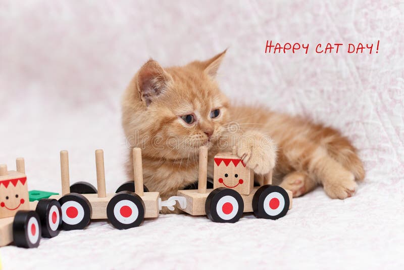 Ginger little kitten lies on a bed near a wooden toy train and looking away. Greeting card. Children`s joy. International Cat Day, 8th August. Text in picture. Ginger little kitten lies on a bed near a wooden toy train and looking away. Greeting card. Children`s joy. International Cat Day, 8th August. Text in picture