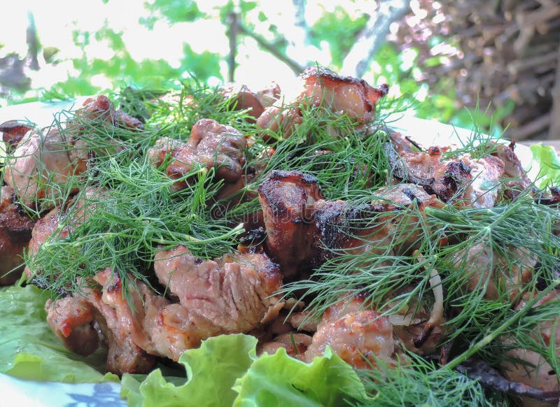 Mięsny wieprzowiny kebab obrazy stock