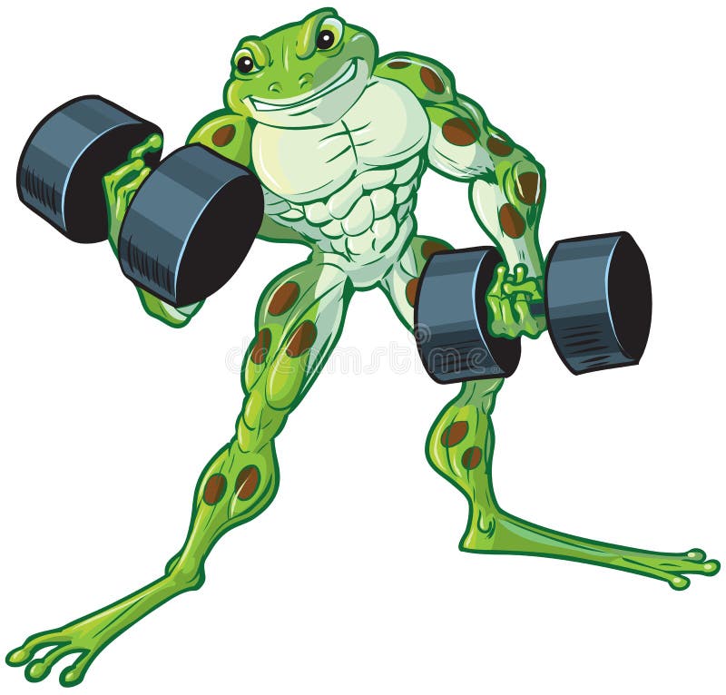 Vector cartoon clip art illustration of a tough muscular weightlifting frog curling or lifting dumbbells. Vector cartoon clip art illustration of a tough muscular weightlifting frog curling or lifting dumbbells.