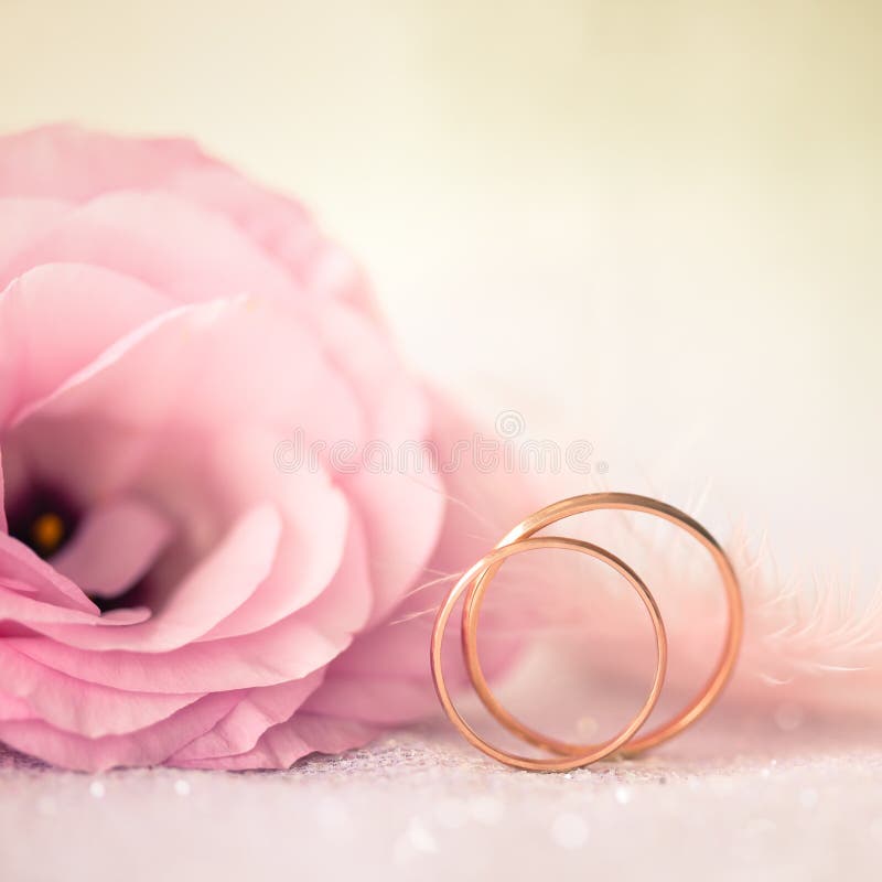 Miłości Ślubny tło z Złocistymi pierścionkami i Pięknym kwiatem
