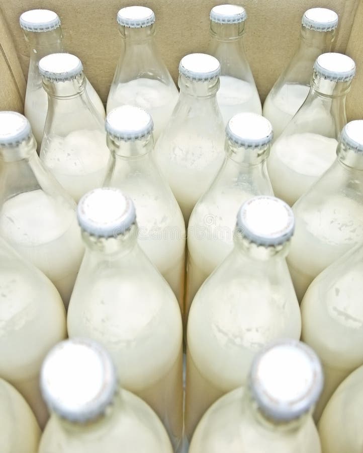 The fresh bottled milk batch. The fresh bottled milk batch