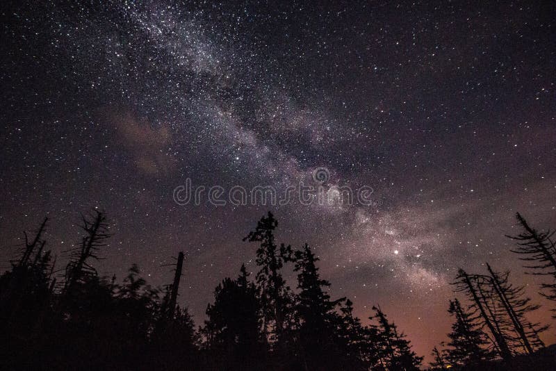 Mjölkaktig väg över skog royaltyfri fotografi Mjölkaktig väg över skog royaltyfri fotografi