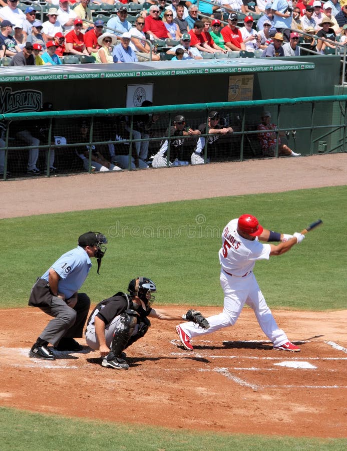 MLB St Louis Cardinals Player Albert Pujols stock images