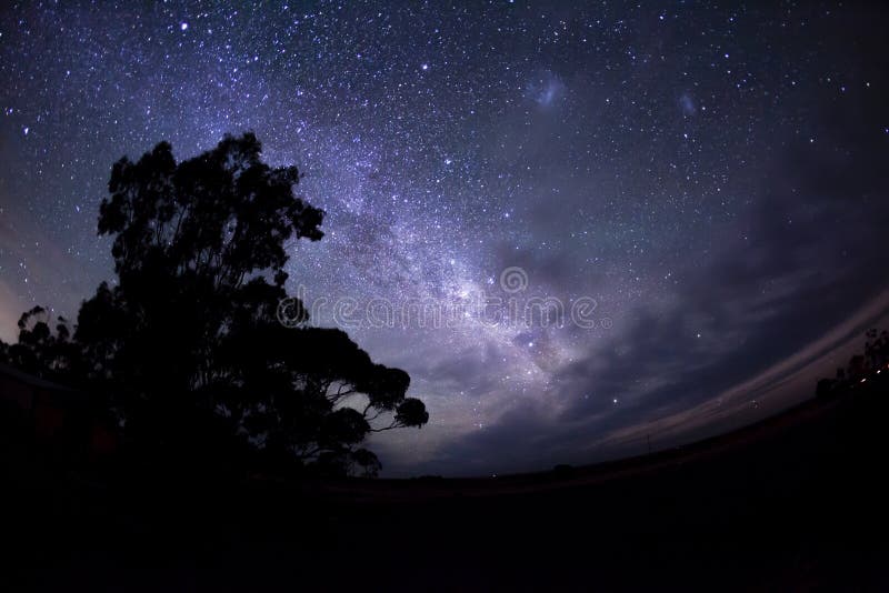 Mllky way in the southern hemisphere and the silhouette of a tree. Mllky way in the southern hemisphere and the silhouette of a tree