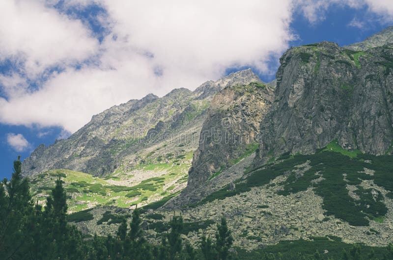 Mlynicka Valley in High Tatras