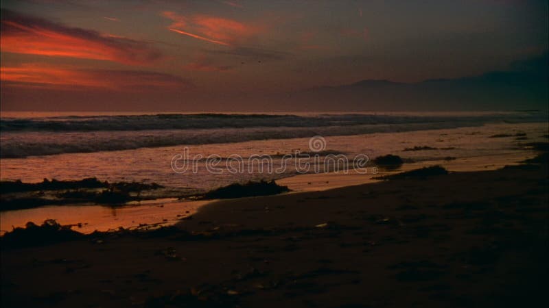 16mm Καλιφόρνια Surfer