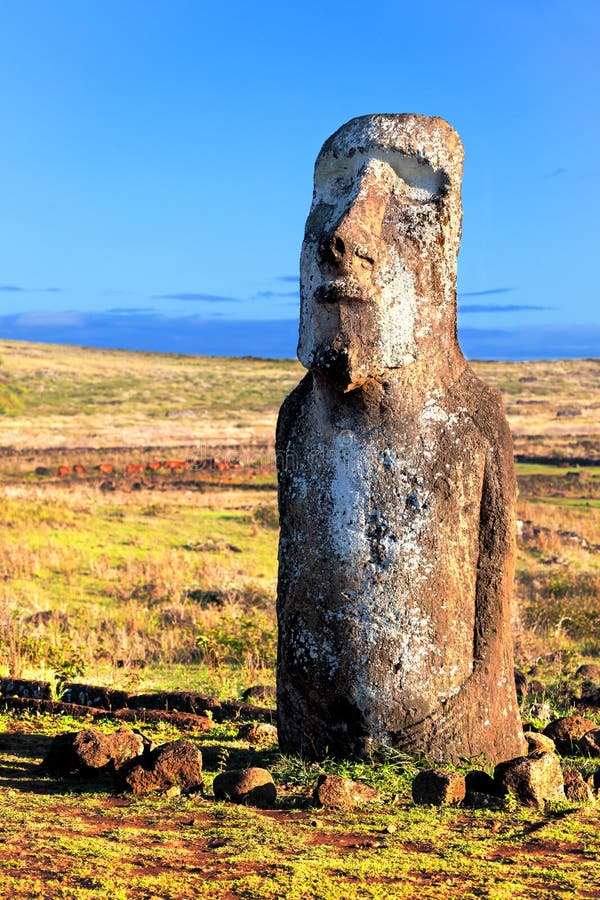 radiador Grapa espacio Moai Derecho Solitario En Sol Brillante En La Isla De Pascua Imagen de  archivo - Imagen de magia, herencia: 44747897