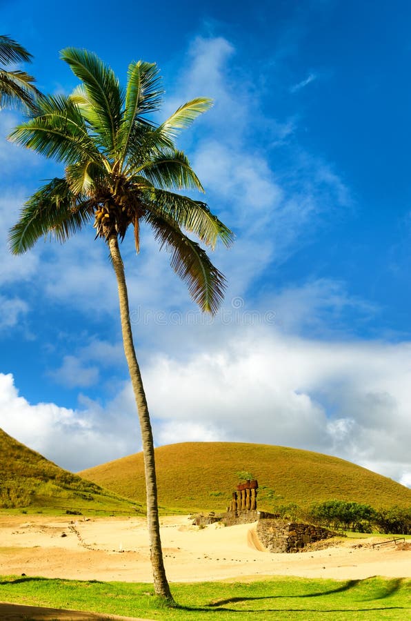 Moai på den Anakena stranden royaltyfri fotografi