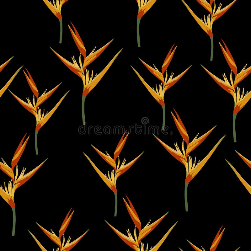 Seamless tropical pattern, vivid tropic foliage, bird of paradise flower, heliconia in bloom. Black background.