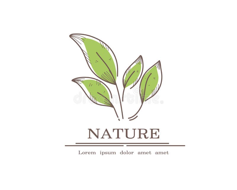 Logo Nature Organic Brand Design Vector Stock Vector - Illustration of ...